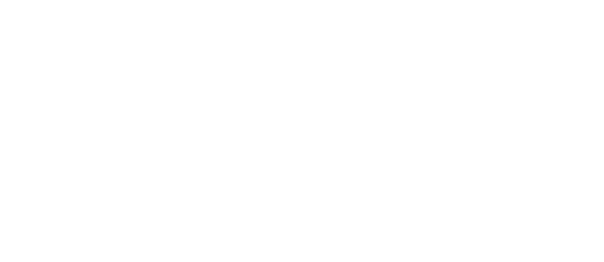 AVLdrive